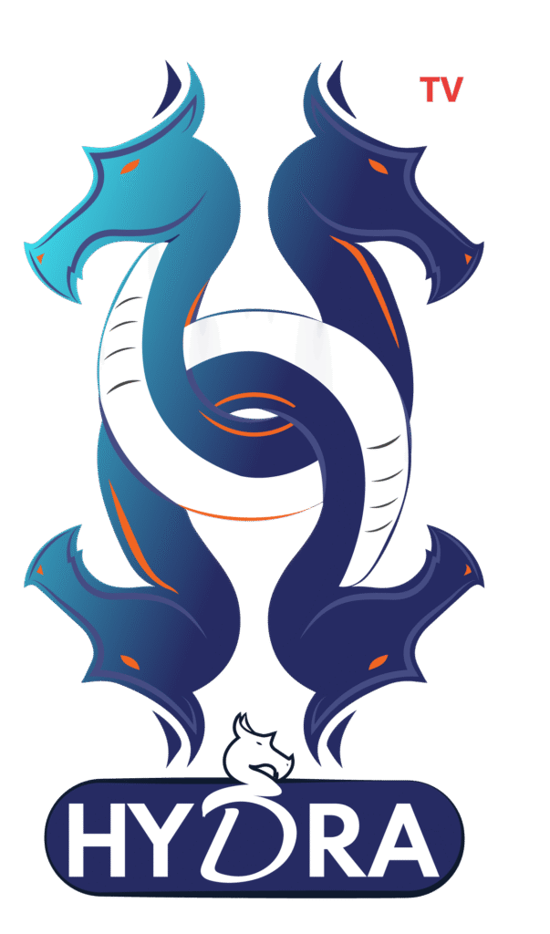 17387748881738071249logo