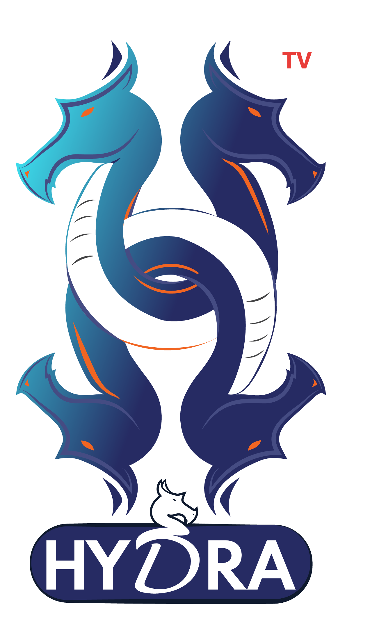 17387748881738071249logo